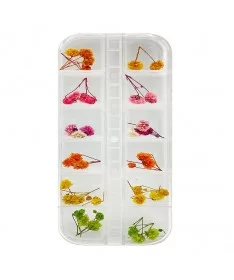 دیزاین گل خشک ناخن کد NFD21- پک 12 عددی