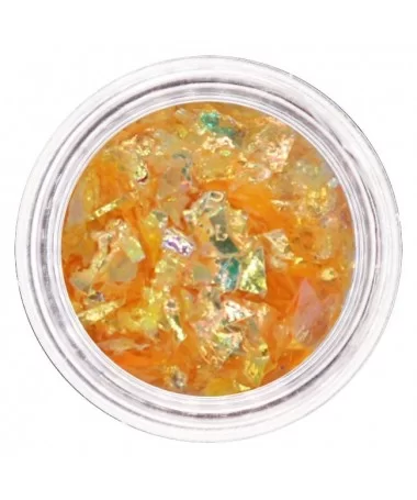 دیزاین شاتر گلس ناخن، پک 12 عددی رنگی دیزاین شاتر گلس ناخن، پک 12 عددی رنگی