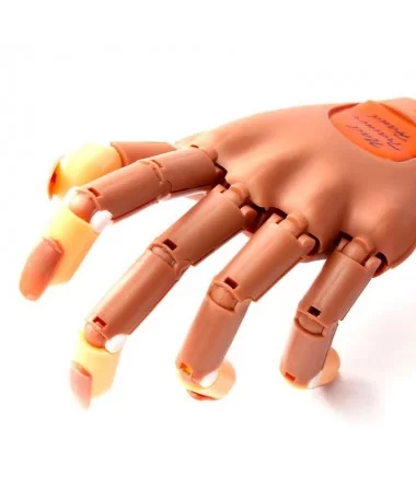 دست مفصل دار تمرین کاشت ناخن