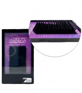 مژه والیوم فر D قطر 0.07 قد 17 میل والی لش WALLY LASH