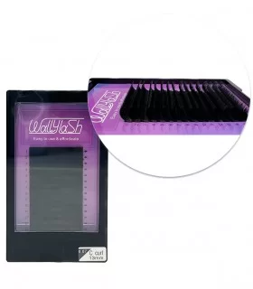 مژه والیوم فر C قطر 0.07 قد 13 میل والی لش WALLY LASH