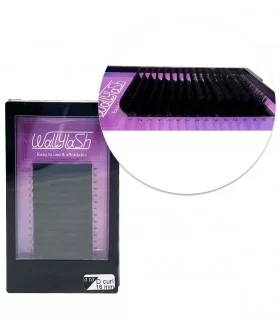 مژه والیوم فر D قطر 0.07 قد 16 میل والی لش WALLY LASH