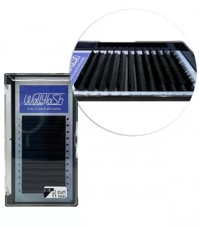 مژه  کلاسیک فر D قطر 0.20 قد 11 میل والی لش WALLY LASH