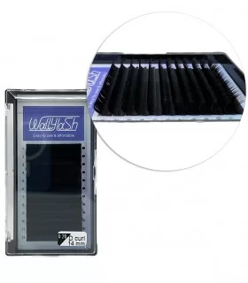 مژه  کلاسیک فر D قطر 0.20 قد 14 میل والی لش WALLY LASH