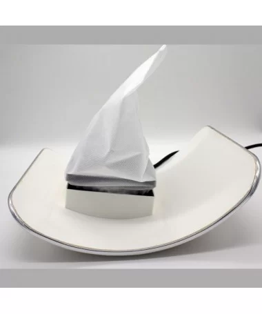 فن زیر دست ترونی Toruni