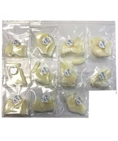 تیپ ناخن 550 عددی وینز VINS