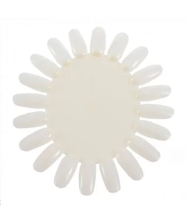 پالت طراحی دایره ای 20 عددی