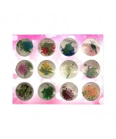 پک 12 عددی دیزاین گل خشک ناخن کد NFD 2