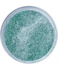 پودر رنگی ناخن کلاریسا CL1649 CLARISSA