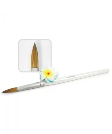 قلم کاشت پودر دسته چوبی هارمونی HARMONY