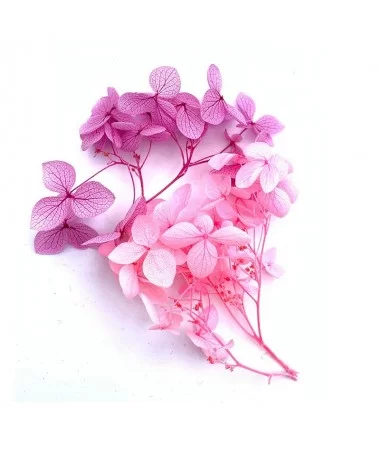 دیزان گل خشک صورتی و یاسی FLOWER