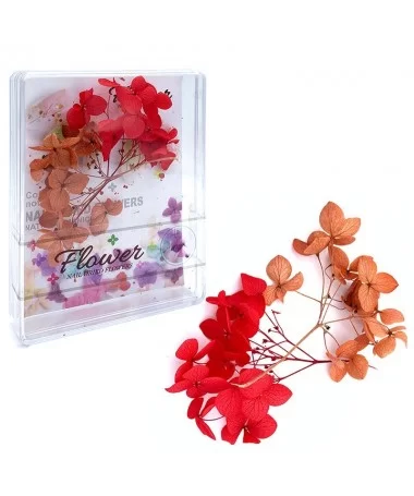 دیزان گل خشک قرمز و قهوه ای FLOWER