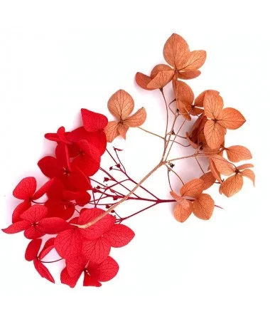 دیزان گل خشک قرمز و قهوه ای FLOWER