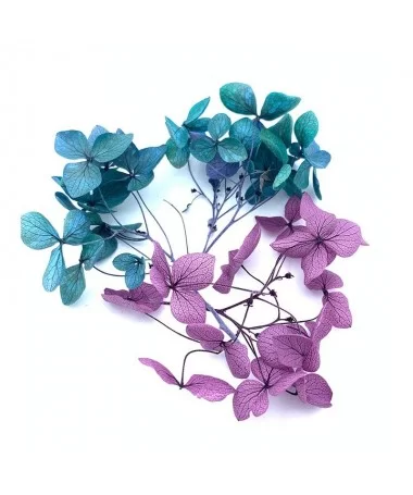دیزان گل خشک سبز و بنفش FLOWER