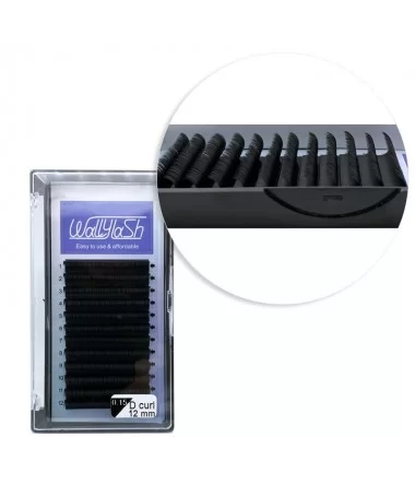 مژه  کلاسیک فر D قطر 0.15 قد 12 میل والی لش WALLY LASH