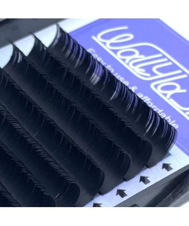 مژه  کلاسیک فر D قطر 0.15 قد 14 میل والی لش WALLY LASH