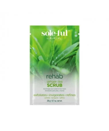 کیت اسپا آرتستیک ARTESTIC رایحه چای زنجبیل