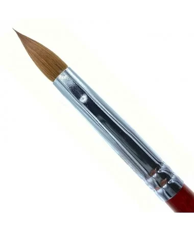 قلم کاشت پودر آنیم ANIM 10