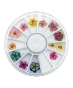 پک 12 عددی دیزاین گل خشک ناخن کد NFD 4