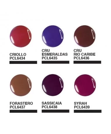 ژل طراحی کلاریسا CLARISSA